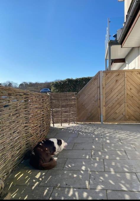 Apartment Wulf Sylt Eg Wenningstedt-Braderup